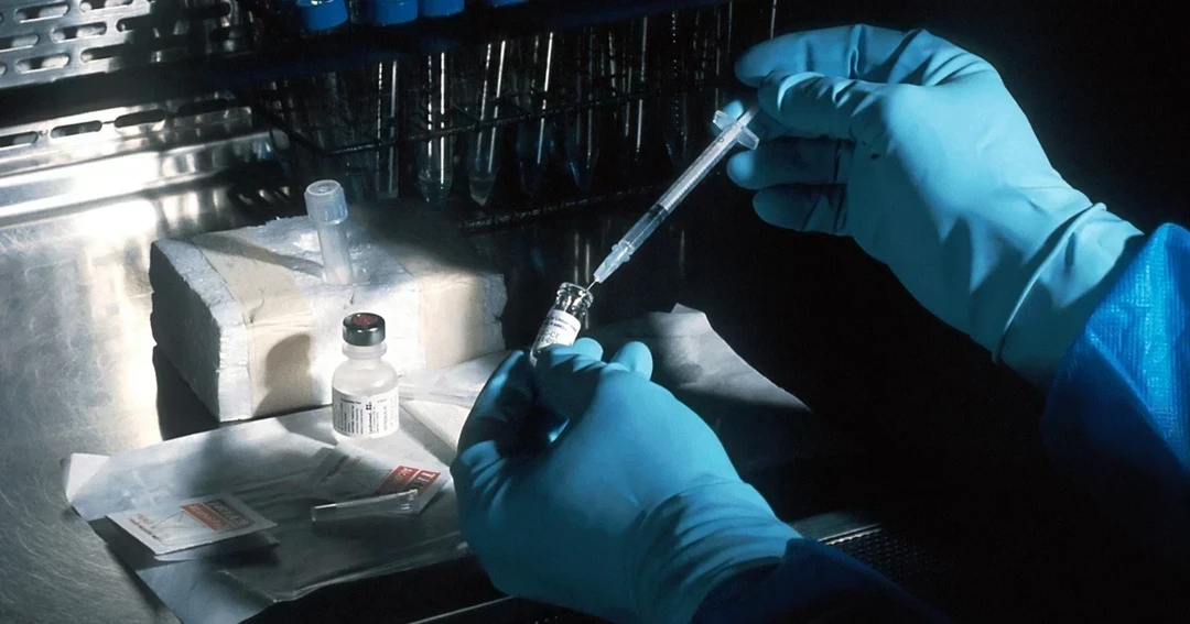 DNA 测试隐私：基因数据的隐秘危险