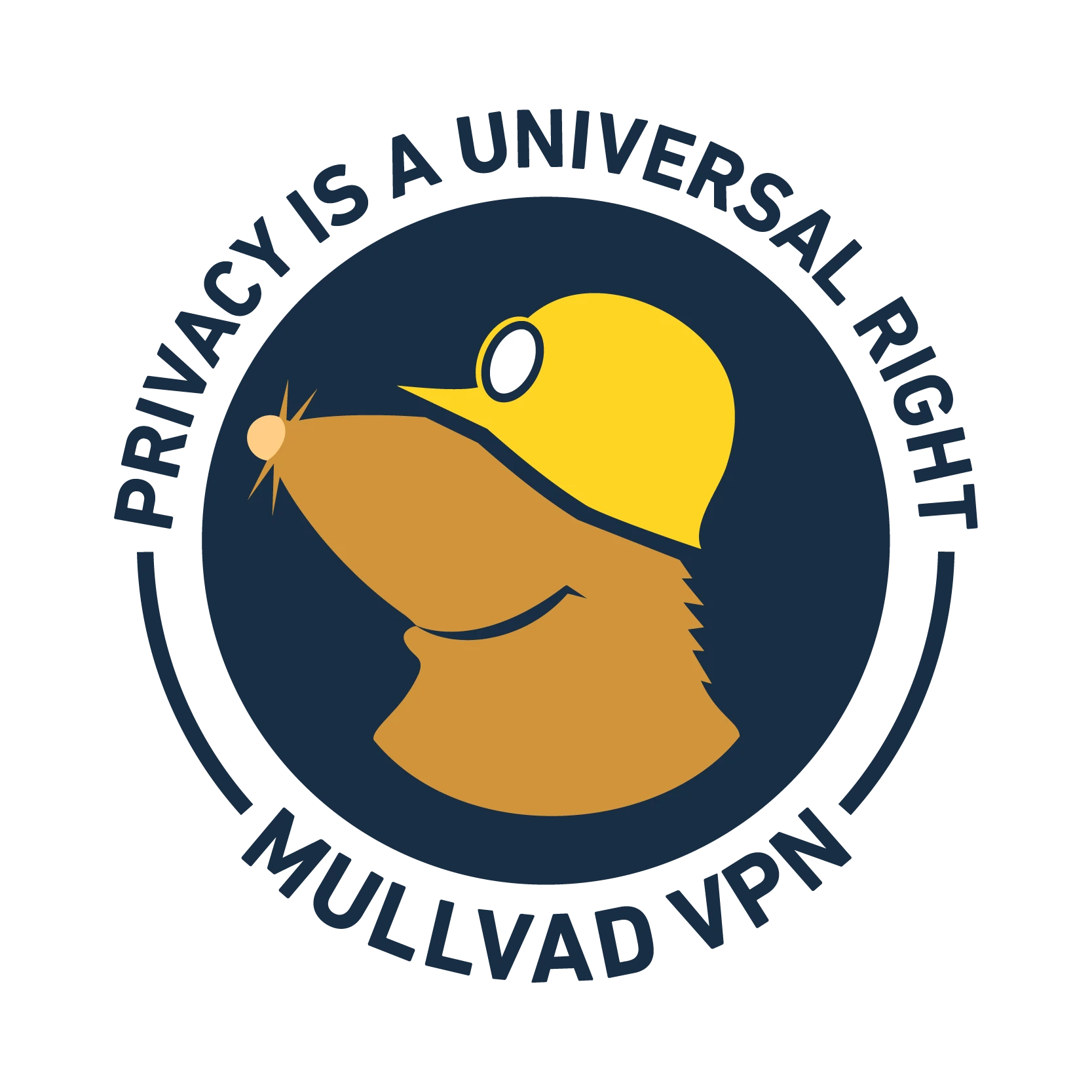 Mullvad 浏览器 13.0 发布，支持多语言